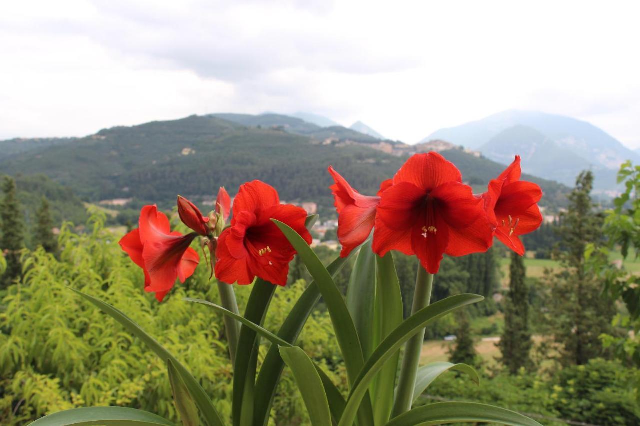 Il Castello Sul Lago Arrone Екстер'єр фото